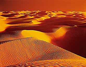 《Subverse》官方：大陆不支持成人内容 所以会推出繁中