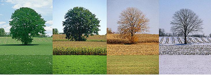 《家园》团队打造！RTS游戏《穿越火线：军团》正式发售